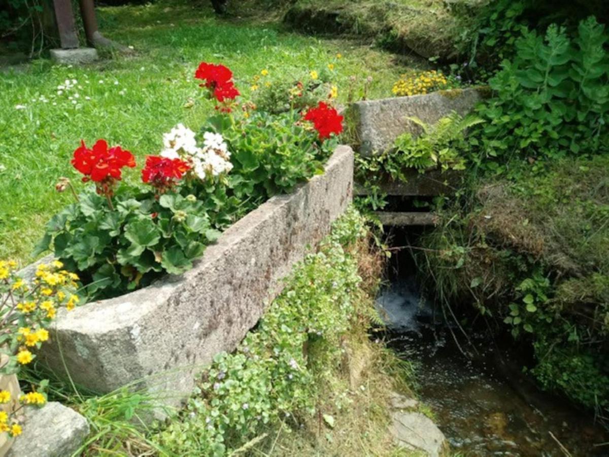 Chaloupka Na Konci Sveta Villa Raskov Bagian luar foto